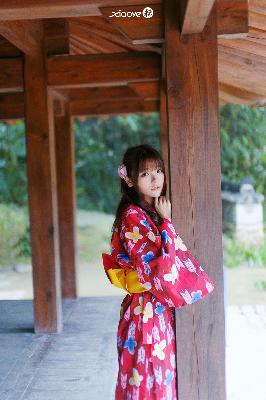 秋霞电视剧免费播放网站在线观看