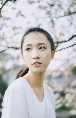 黑白禁区免费观看全集电视剧结局