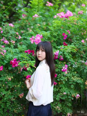 流水迢迢电视剧免费观看完整版